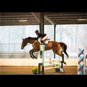 Meet your Posher, Sydney